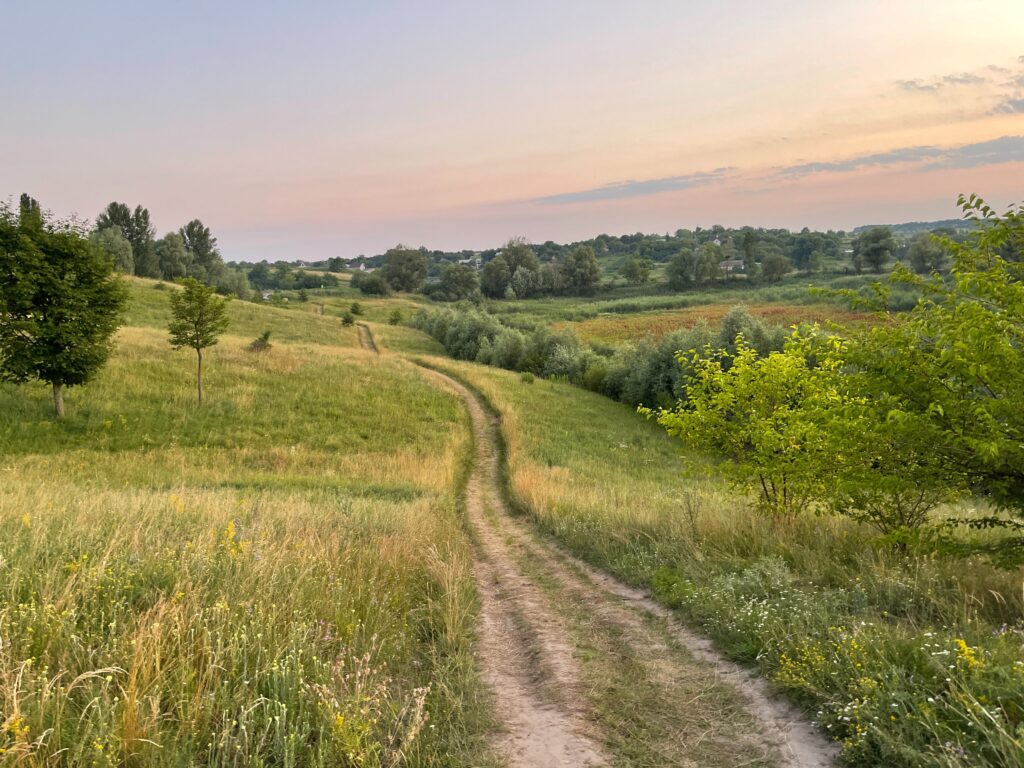 Unpaved Road in the Grassland