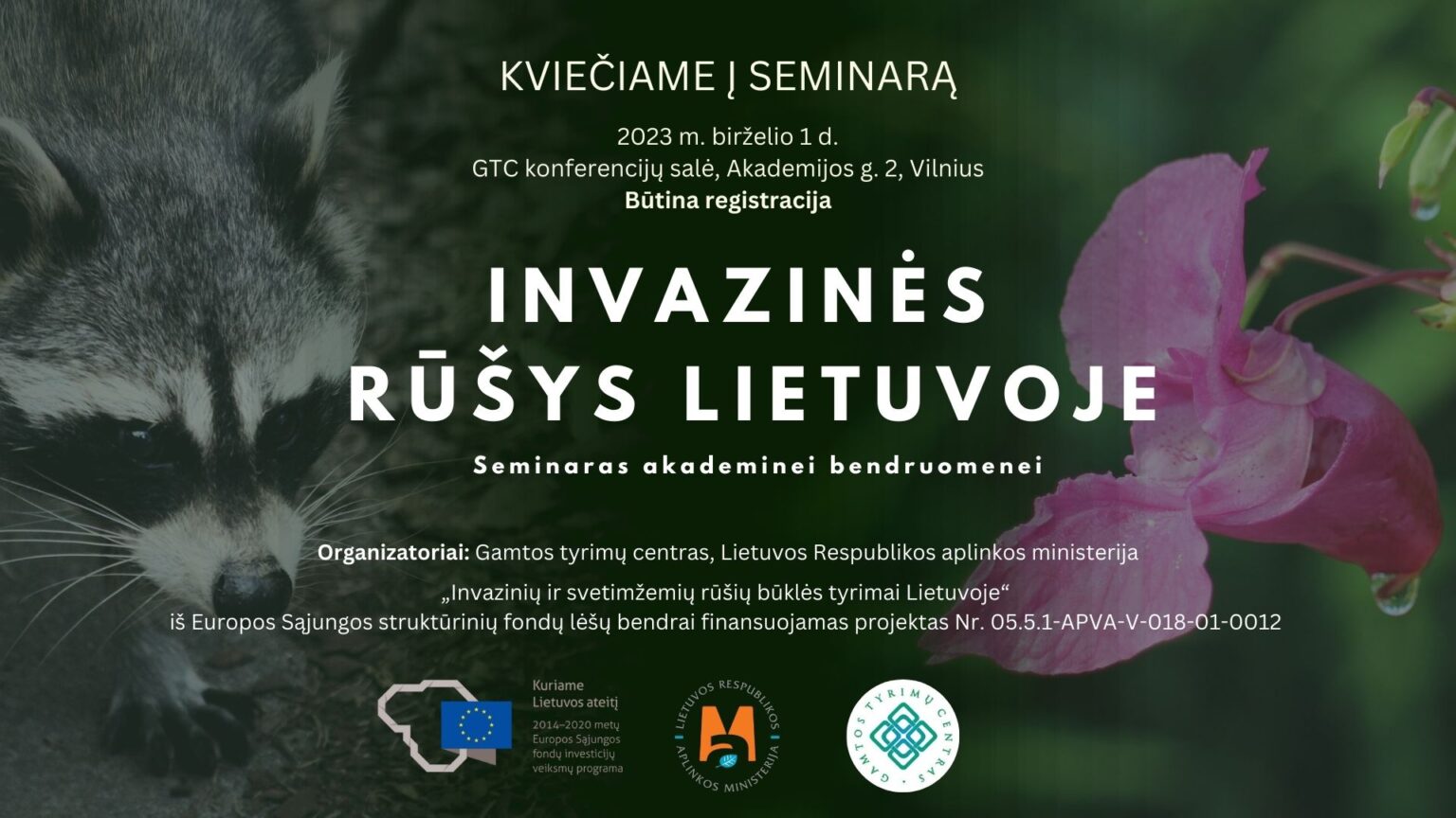 Naudinga informacija – INVA